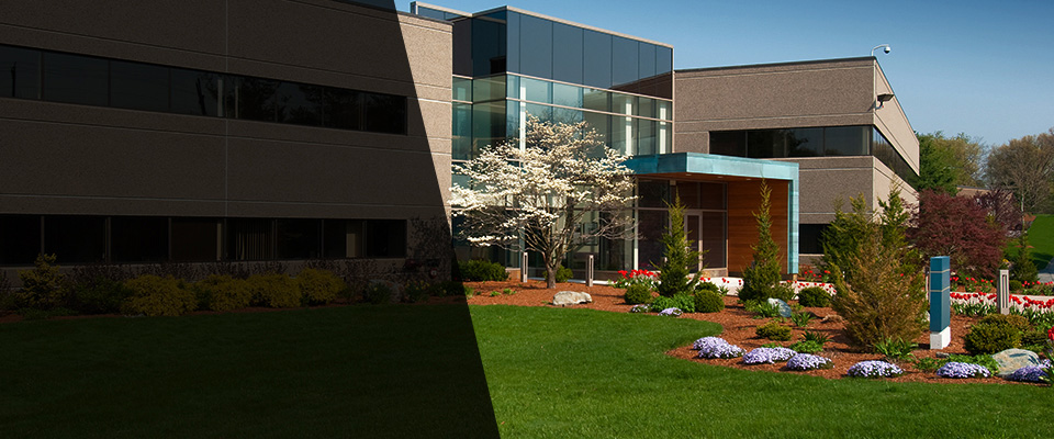 Williamsport Landscapers