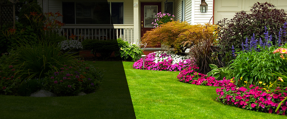 Williamsport Landscapers