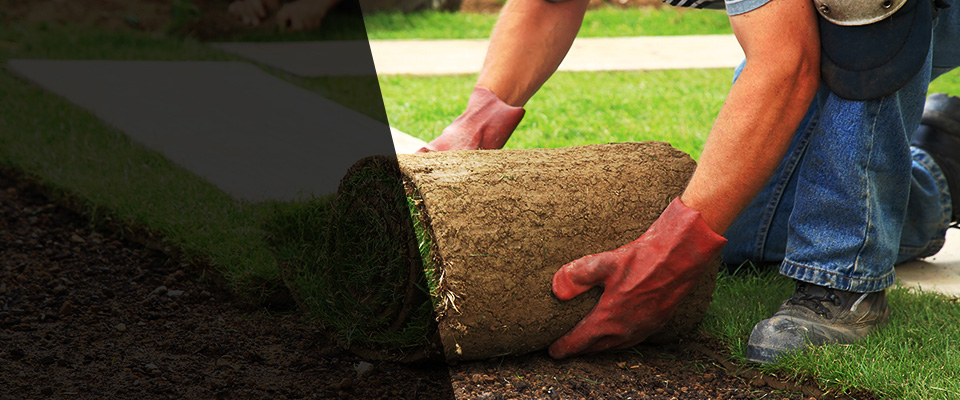 Williamsport Landscapers